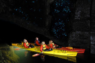 waimarino glow worm kayak tour 1 15038063